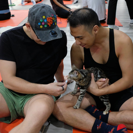 Double Bay | Kitty Yoga