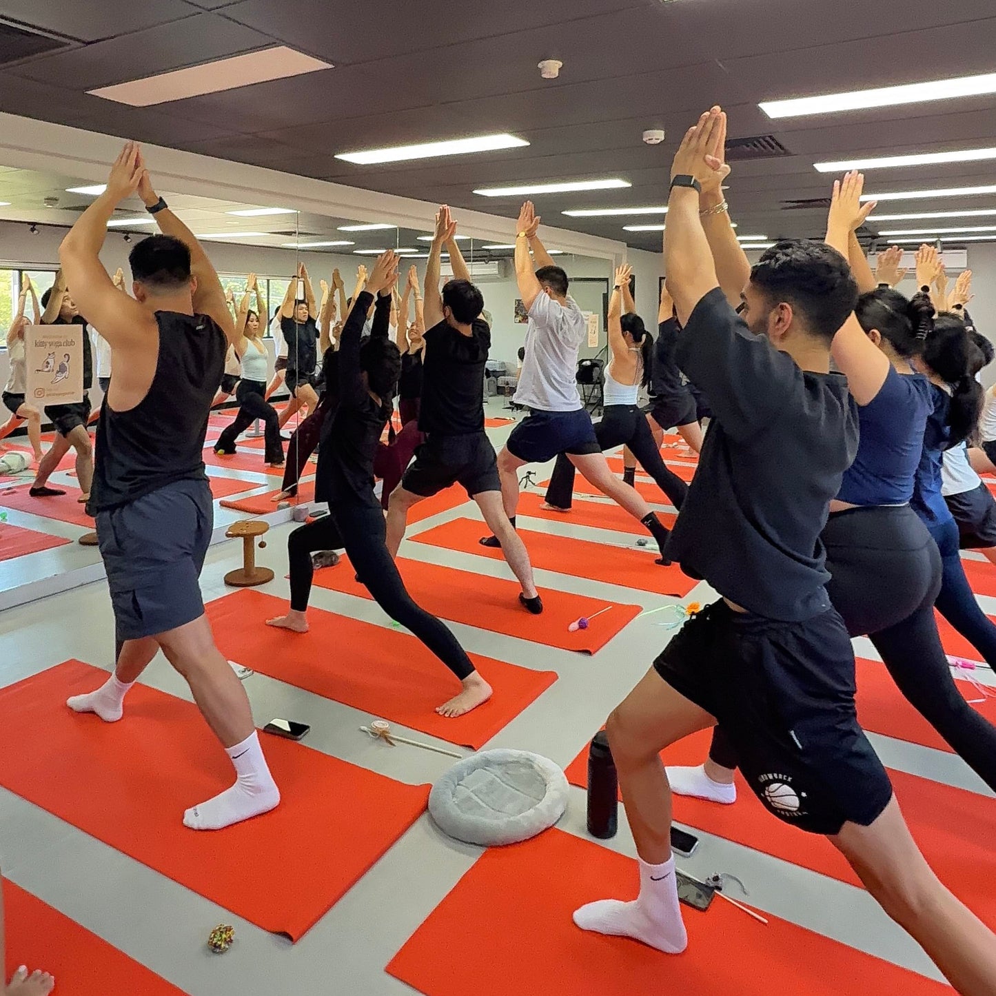 Group of people practicing kitty yoga in a room with orange mats and mirrors on the wall in Sydney