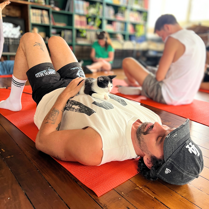 Double Bay | Kitty Yoga