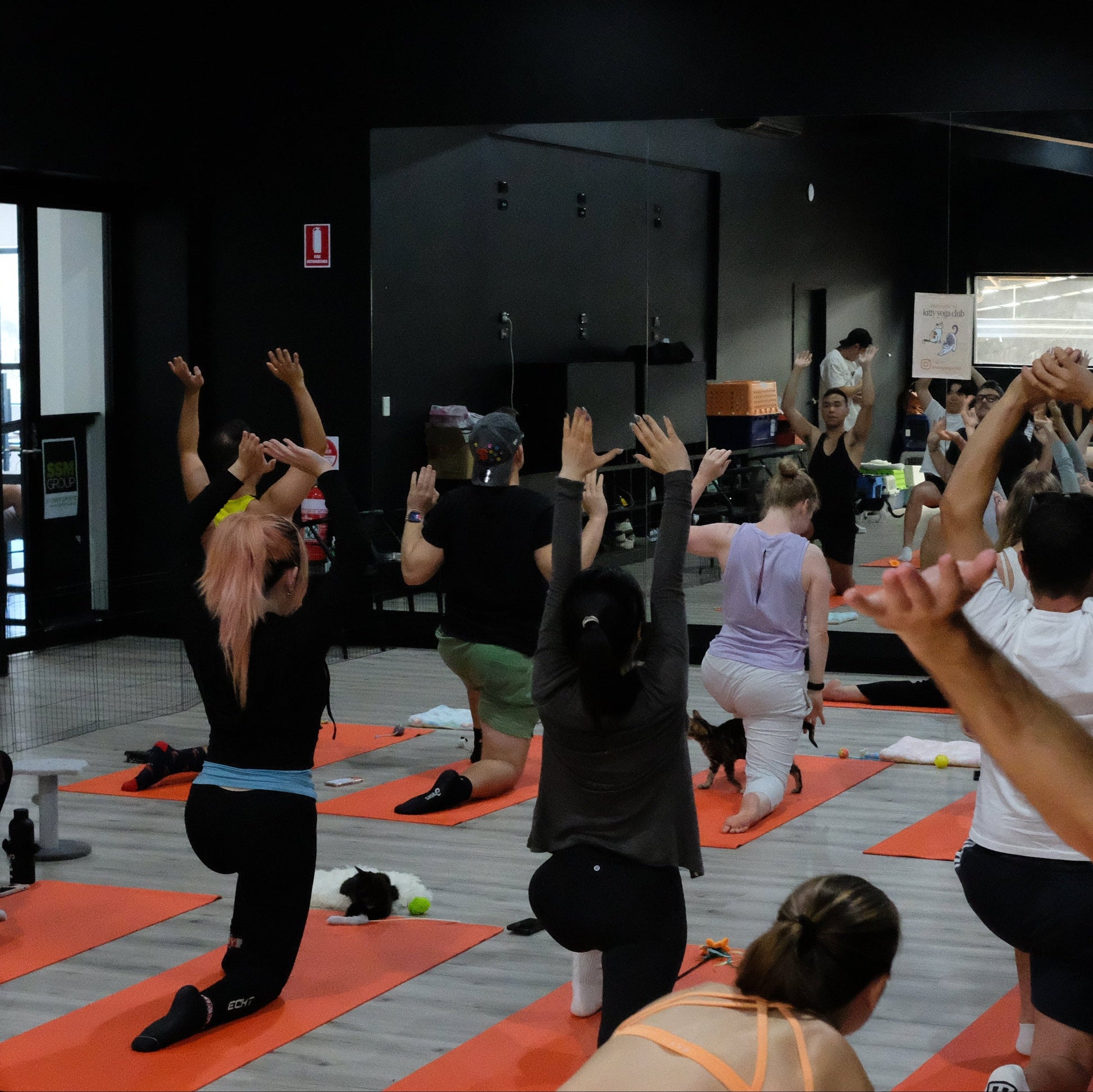kitty yoga sydney class session