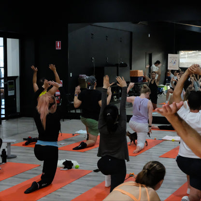 kitty yoga sydney class session