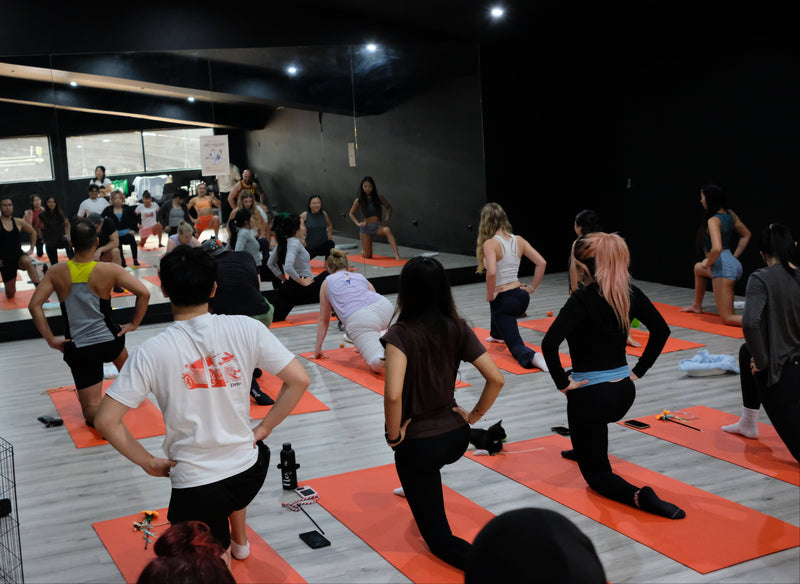 kitty yoga sydney session class