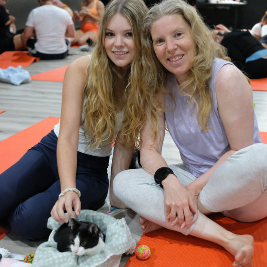 Double Bay | Kitty Yoga