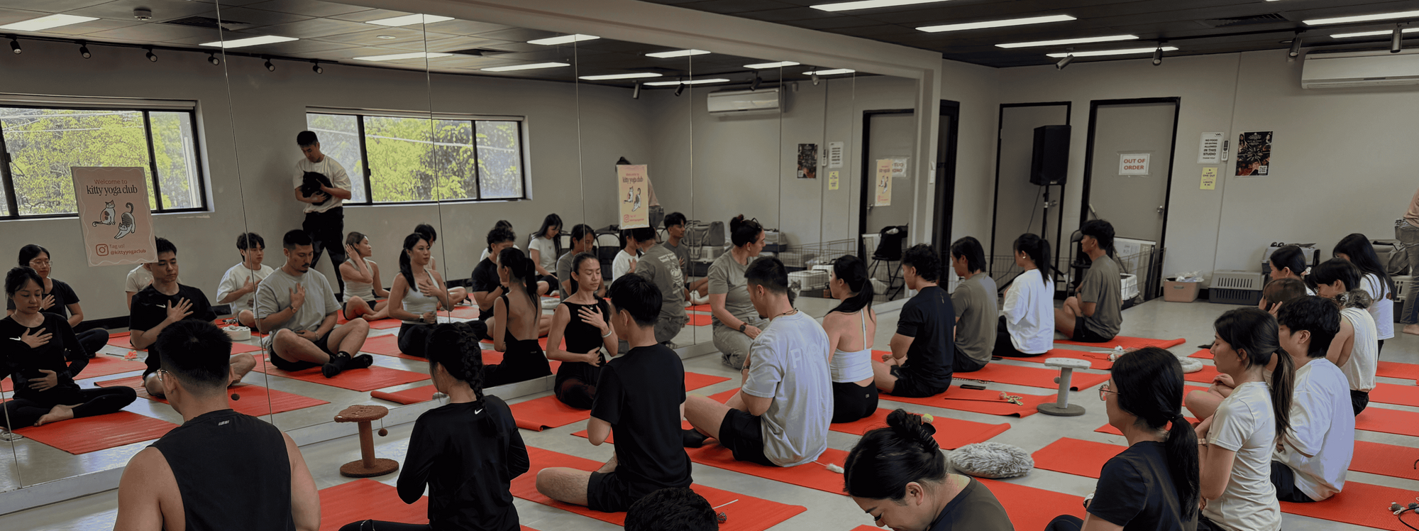 Group of people sitting on orange yoga mats in a room for a kitty yoga session with cats.
