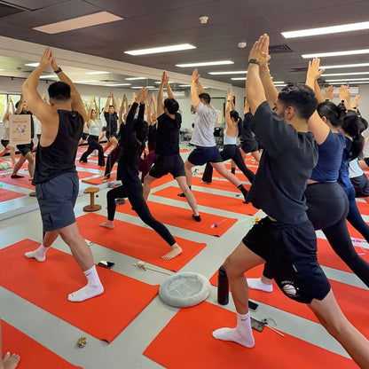 Chippendale | Kitty Yoga