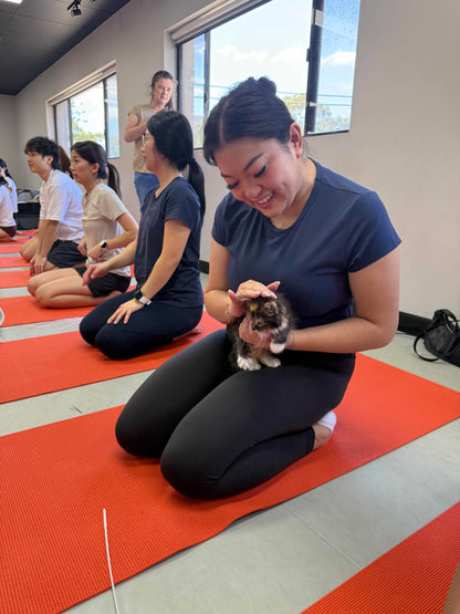 Mascot | Kitty Yoga