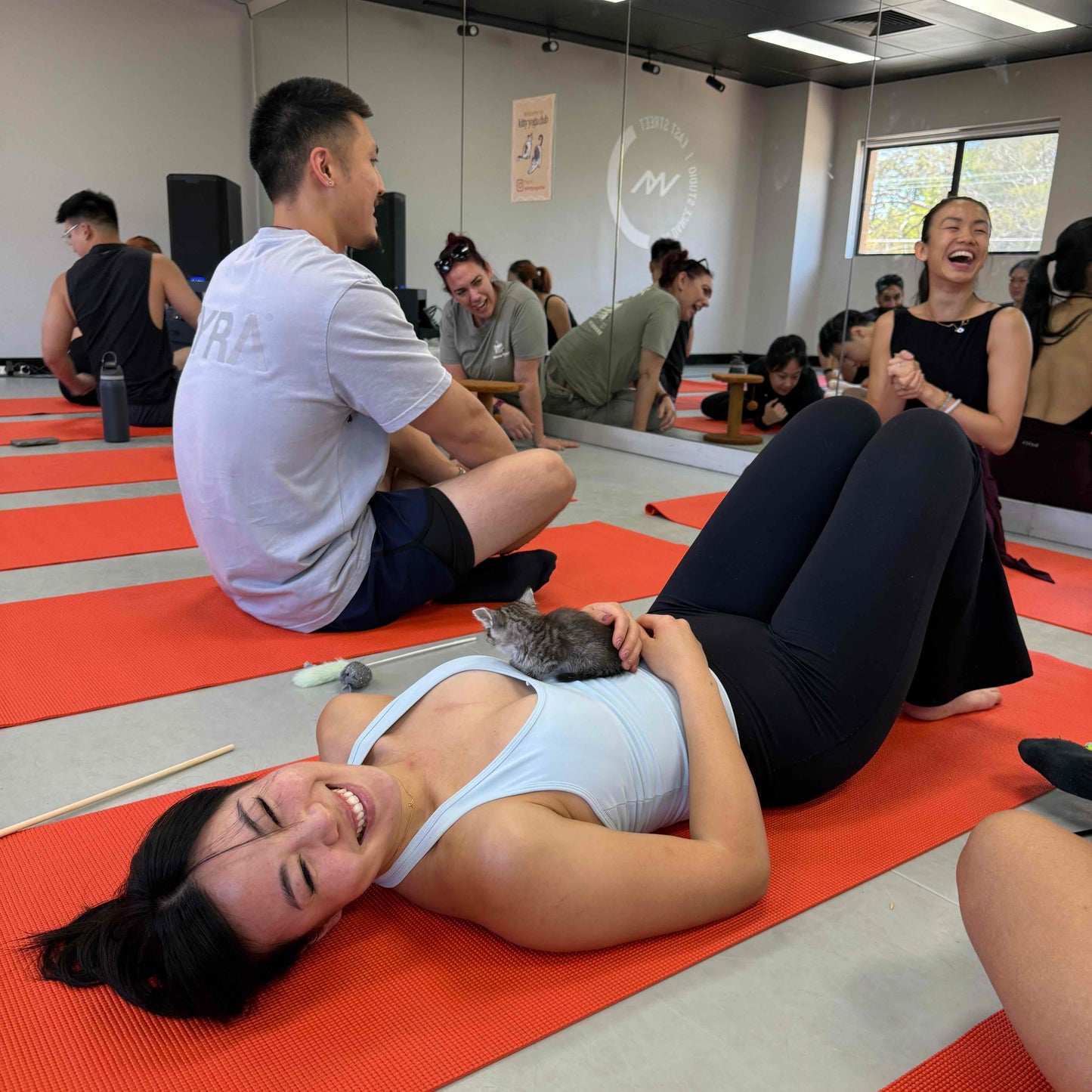 Chippendale | Kitty Yoga