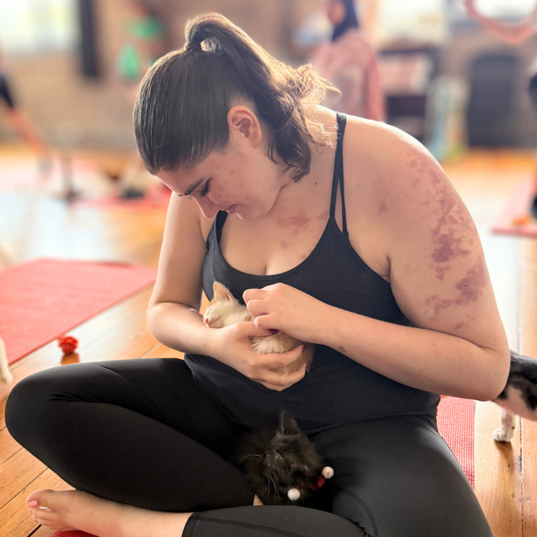 Double Bay | Kitty Yoga