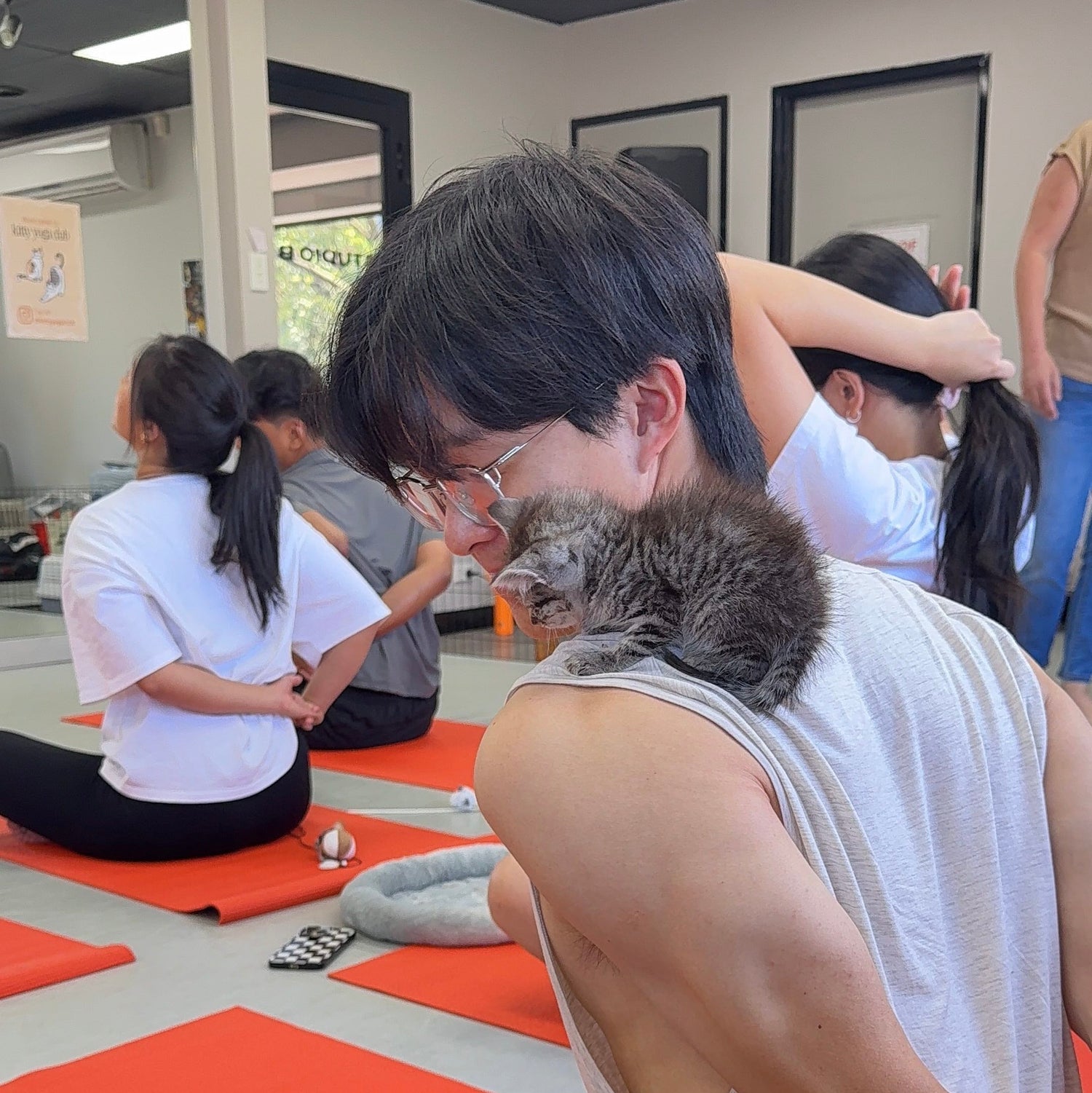 Group of people practicing kitty yoga with a cat on an orange mat.